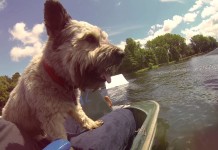 Life&More – WAKEBOARD SEZON 2015